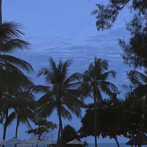 足浴店美女玩双飞A片
